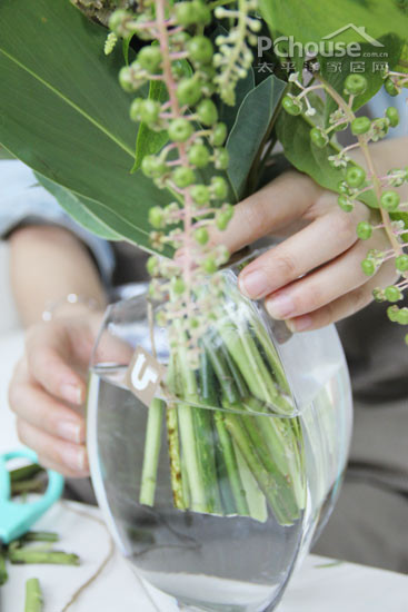 插花DIY步骤