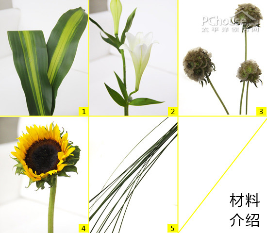DIY插花:向日葵之恋