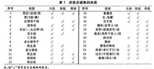 苹果树栽培技术|苹果树简化省工整形修剪法