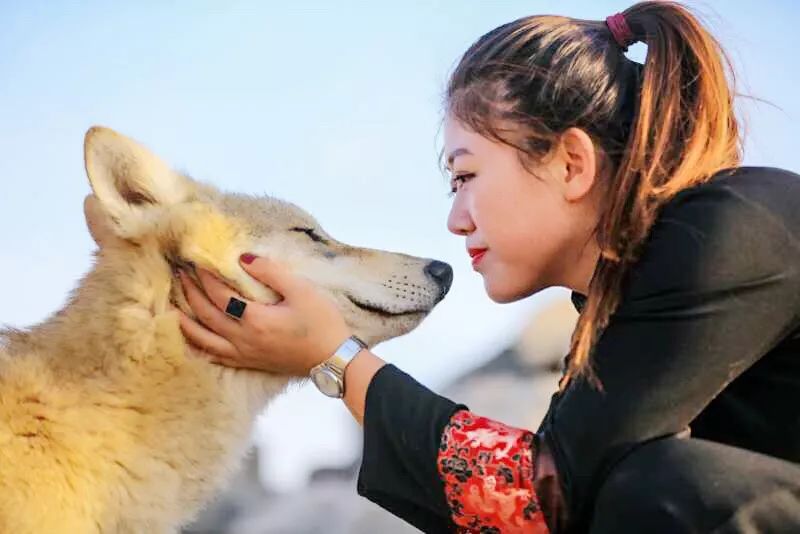 贪狼少女玩命直播