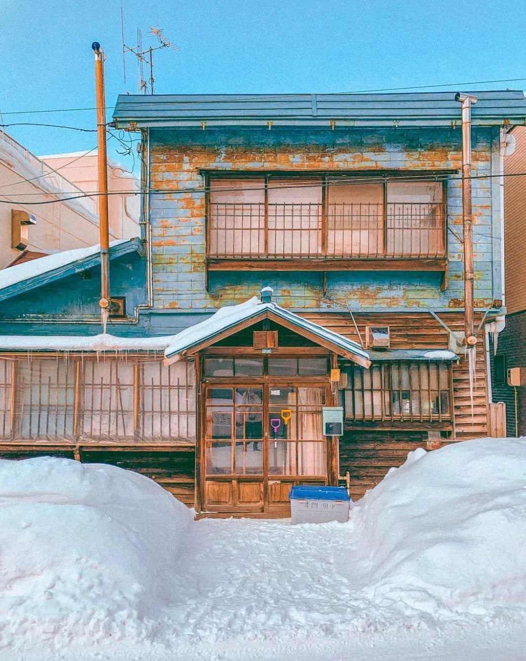 你真美！