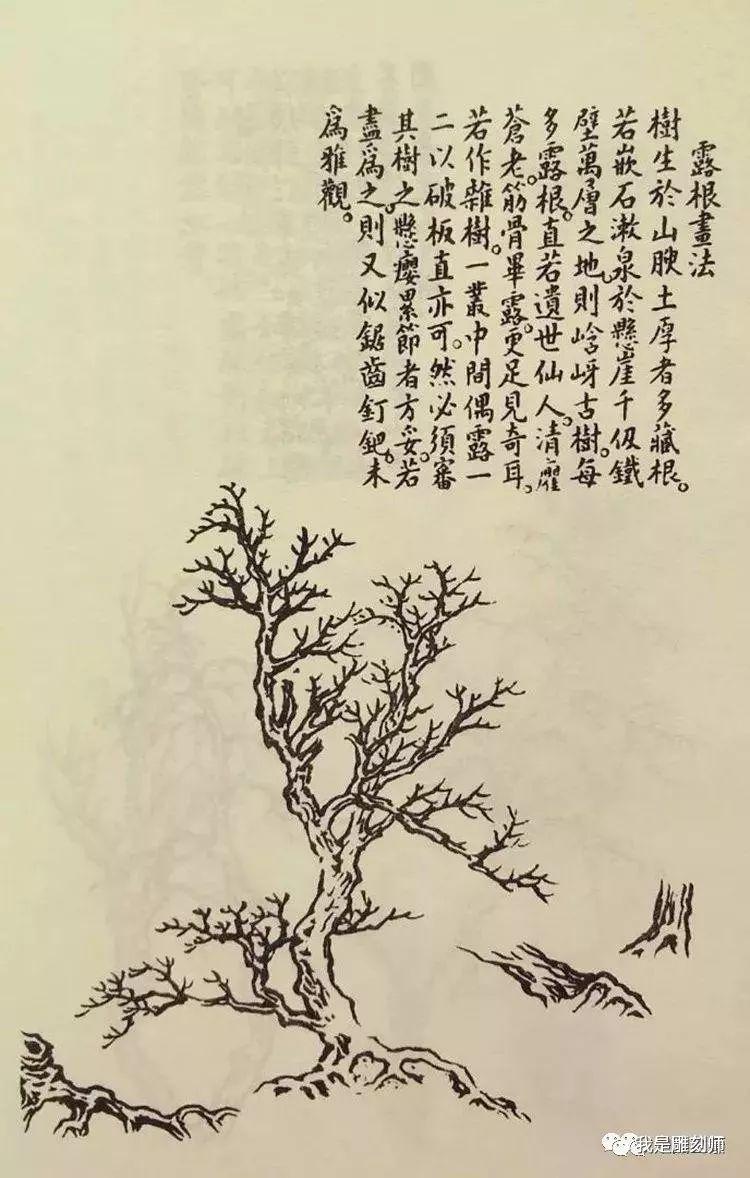 《芥子园画谱》——奠基现代盆景的“中国风”__凤凰网