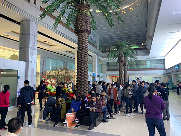 疟原虫治疗癌症招募志愿者现场火爆，半天仅一人确认符合条件