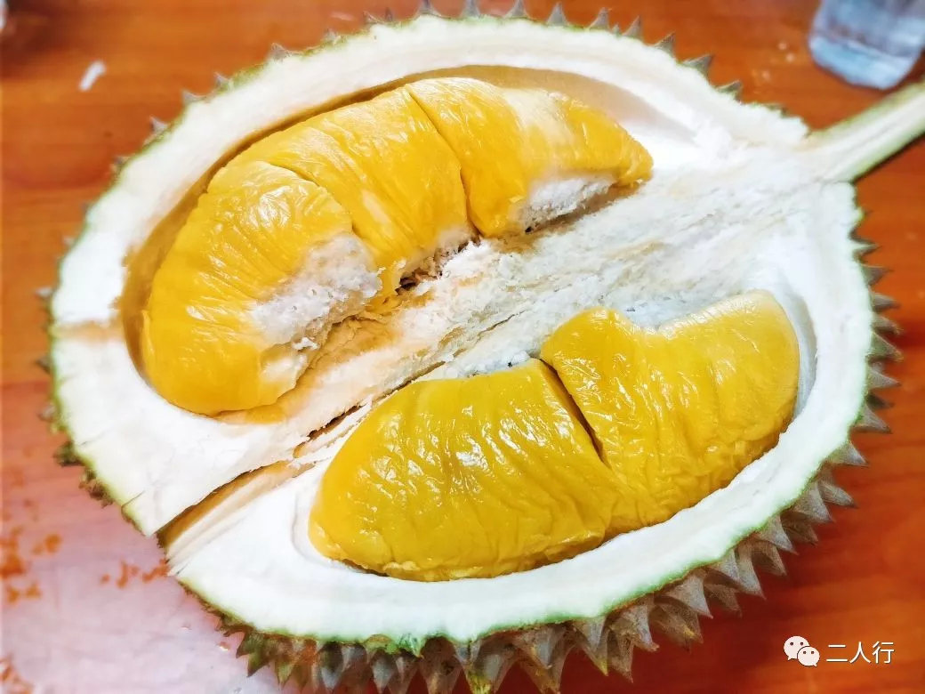成熟的榴莲,果肉金黄
