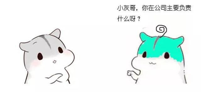 程序员如何避免被人误解职业?