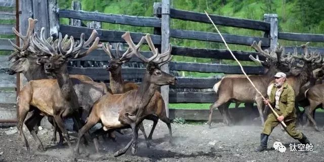 酒是个好东西，它能搞定所有人，连外星人也不例外 | 钛空舱