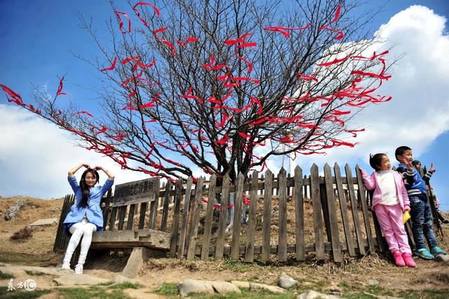 果树建园 生态果园的建设和模式