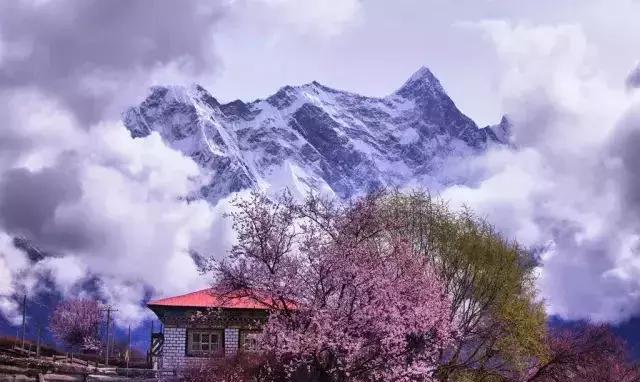 林芝(途径旅游景点 雅鲁藏布江 大峡谷,南迦巴瓦峰 林芝桃花节)