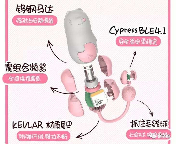 姑娘们，请坐好，本喵带你极速飙车，请注意！这不是开往幼儿园的车 | 精分剧场