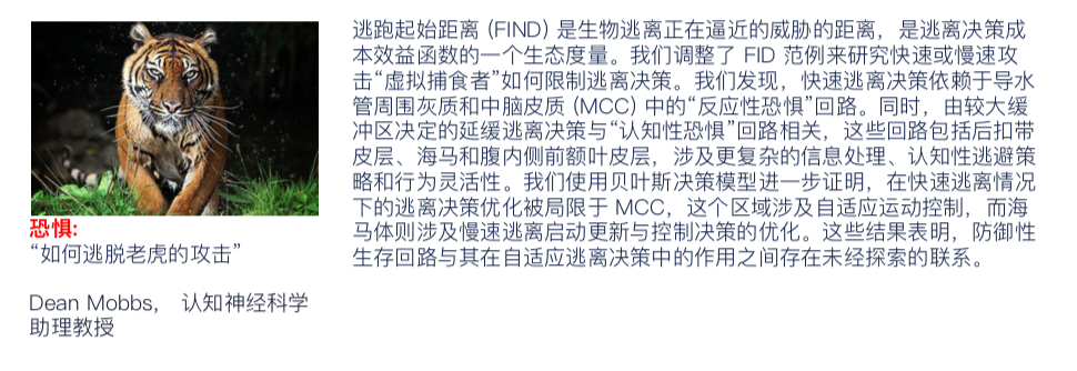 陈天桥的脑科学研究公布最新成果，不仅让盲人“看见”，还让瘫痪者“有感觉”