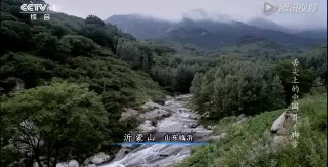 移动互联网影响下的小城临沂