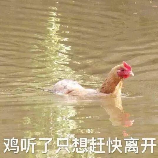 国内奢侈品代工厂，200块买Prada，100块买Coach真不是没可能！