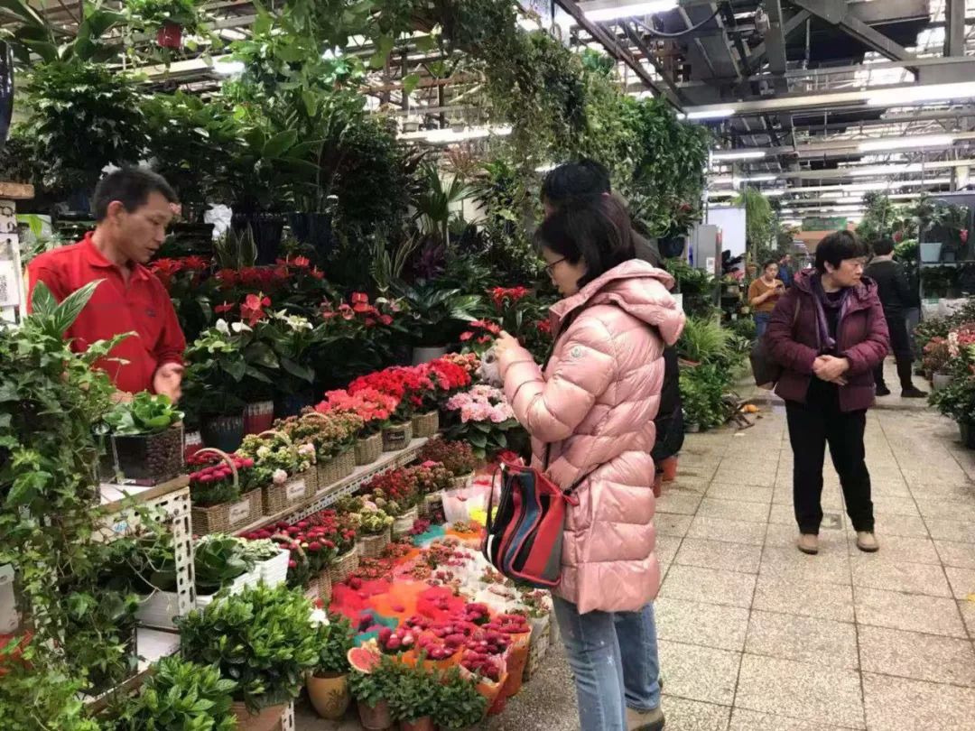 扫货抓紧!莱太花卉市场4月30日闭市改造