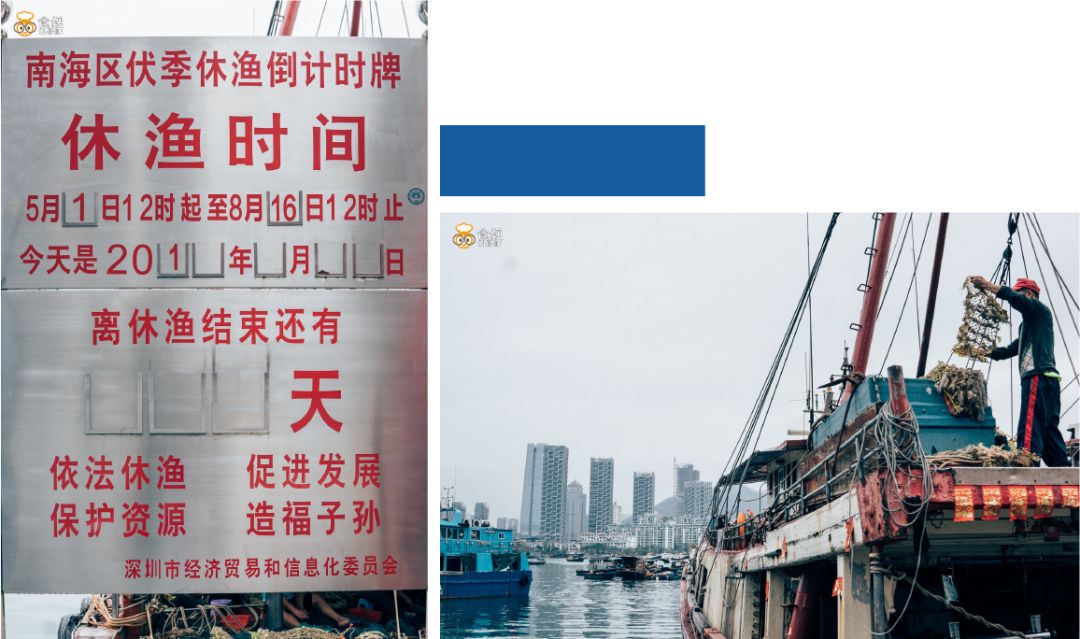 陪伴深圳百年渔人码头,和它告别的时间不多了