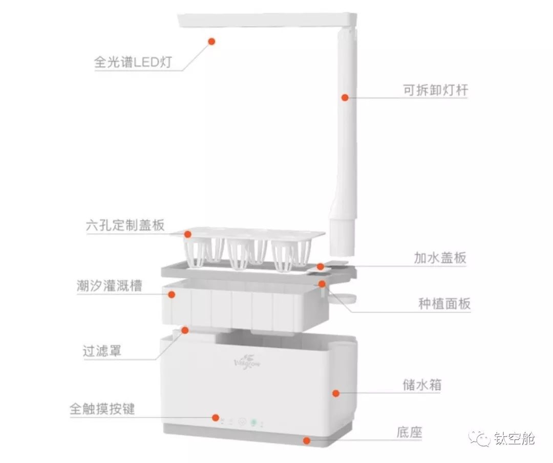 能当台灯，能养花，无土养殖智能养花机，开启养花新模式 | 钛空舱