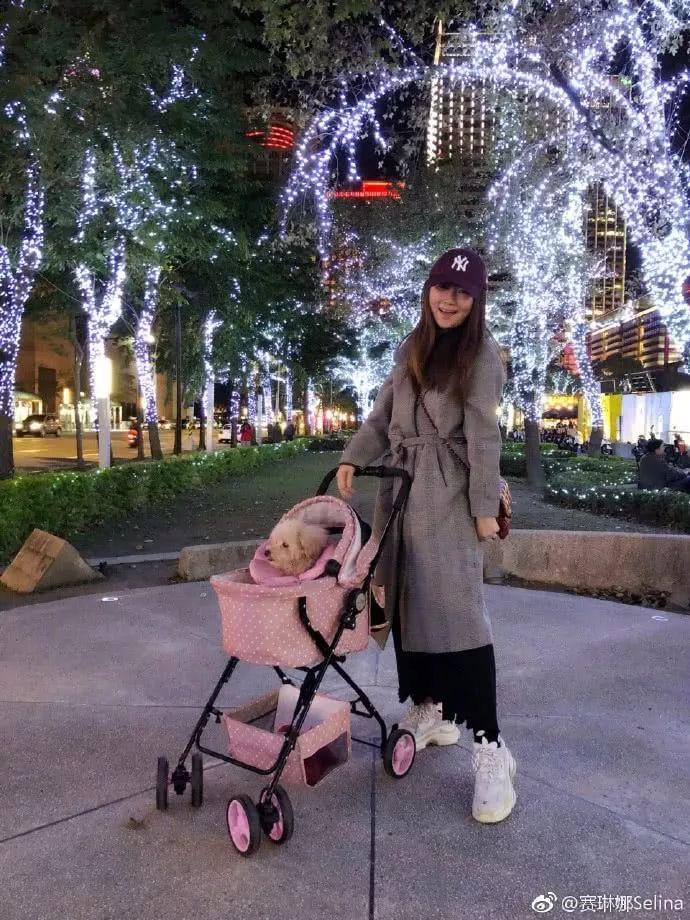 Selina悲痛吻别15岁爱犬，曾因它与前夫不和成离婚导火索
