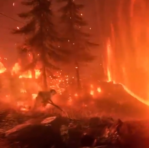 《战地5》吃鸡模式预告片发布:在烈火下对抗逃生