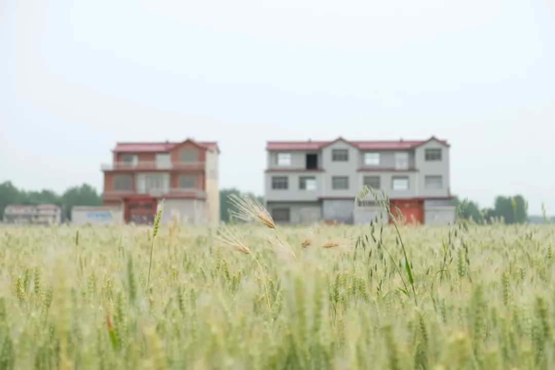 愤怒过后，我发现《都挺好》的故事就在身边