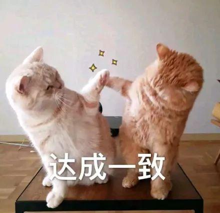 娱乐圈最好命女星居然被虐到突然狂哭不止？精神操纵法是下蛊术吗？