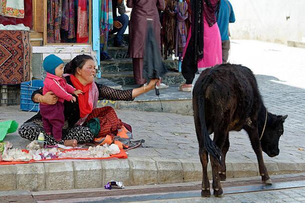 印控克什米尔的拉达克:看了你就知道它有多美