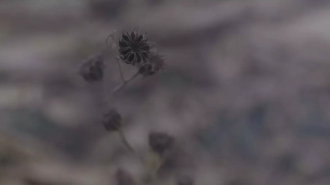 想了解5年前的文牧野？不妨先看看这12分钟的电影