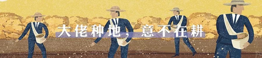 微信里值得置顶的8个公众号，都给你列好了