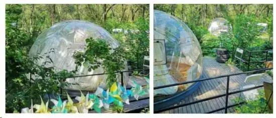 网红泡泡屋你见过吗?而且还是可以看星空的!