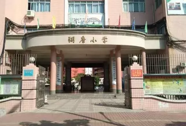 (一)佛山市禅城区南庄镇育华小学(二)佛山市禅城区颖林大江小学(三)