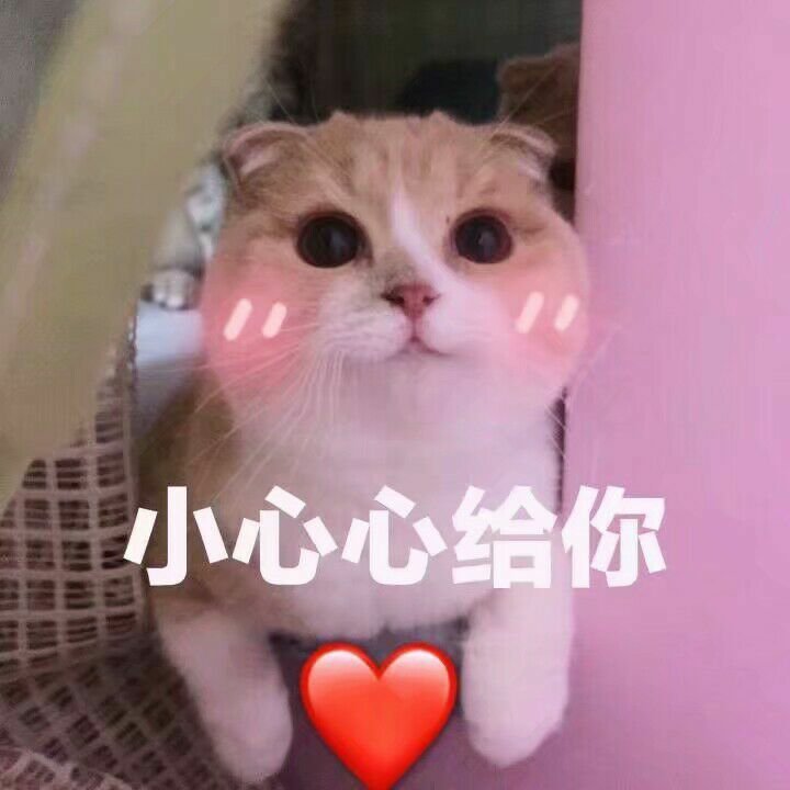 58c6d47df53f4b8fae32ec50a3256a29.jpg 58c6d47df53f4b8fae32ec50a3256a29.jpg