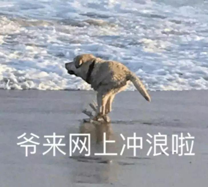 ȫ˰ֻйˣ㵽ױ˶Ǯ