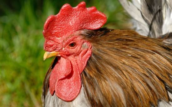 29b2d3f892da40a4a7a13e0c3224be62.jpg 29b2d3f892da40a4a7a13e0c3224be62.jpg