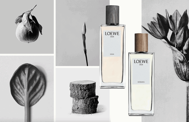 LOEWE 罗意威包2019必火?!还不是因为蔡依林、袁泉、唐嫣、杨幂等明星全都在背!