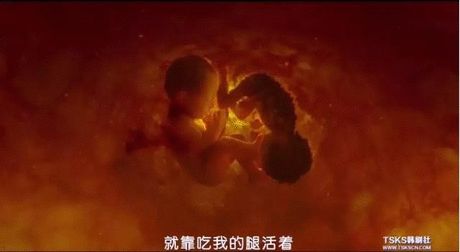 娑婆诃剧照