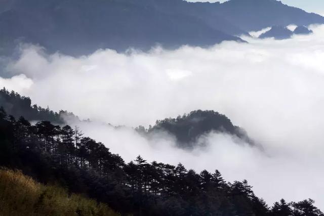 五一去哪玩?咸宁旅游攻略|通城篇