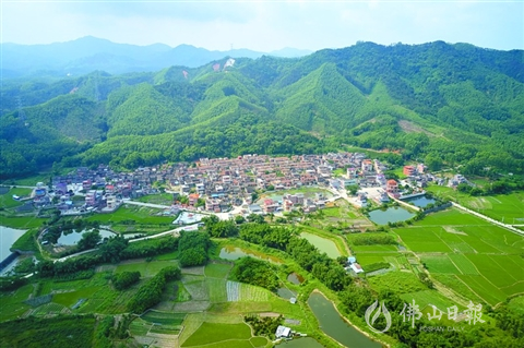 鱼塘密布的荷城街道石洲村委会.