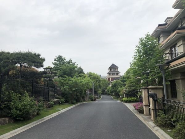 杭州第十区临安独栋别墅送别墅500平送车库池渔花园图片