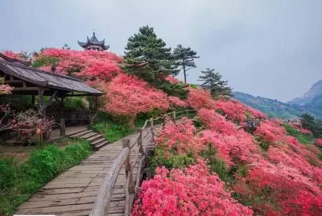 收藏好！这可能是五一游最全的安徽旅游景点整理