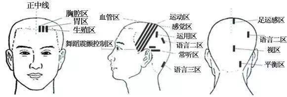 看懂这张图,穴位不用找(人体全息图)