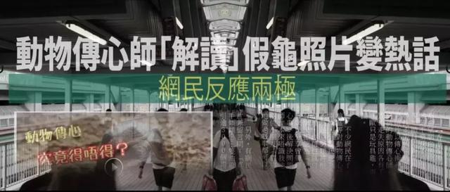 又一套高分限制级港剧,这回不是TVB