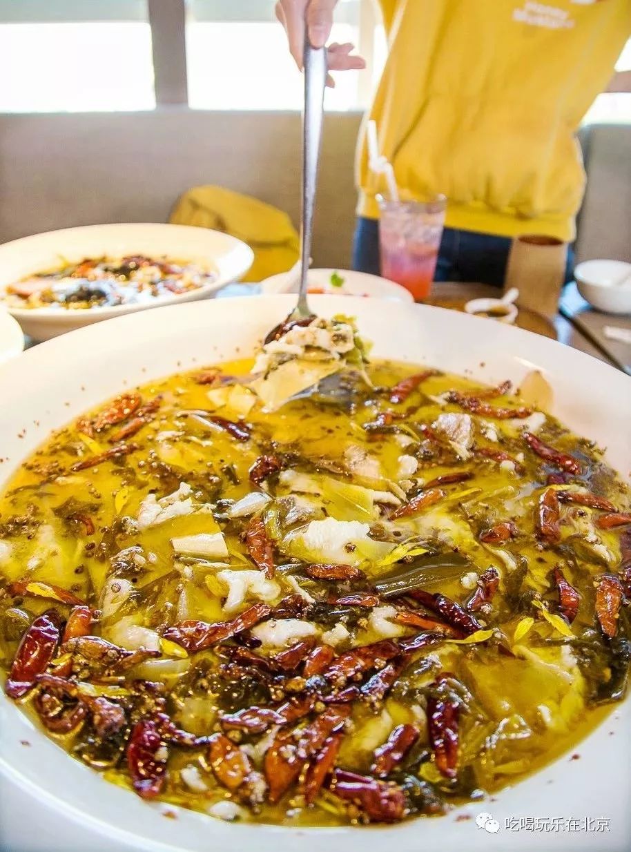 北京互联网人觅食图鉴