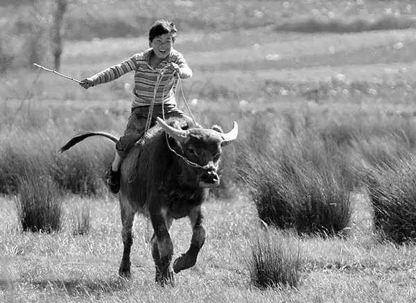 又一波回忆终成回忆“小霸王”就此别过!80后回忆盘点,说好不哭