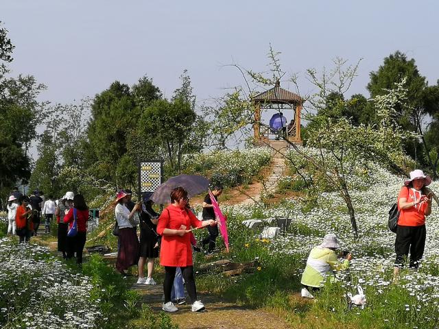 线路:广元苍溪新店子景区适合自驾游,走广南高速下荞子坝出口往苍溪