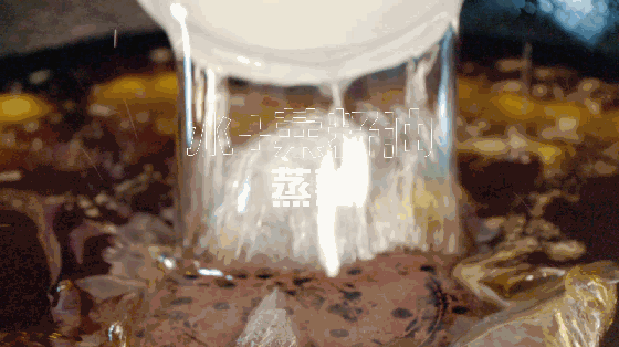 从饺子到面皮的进化论：锅贴简史