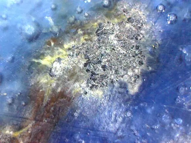 156、瓷器微观典型特征