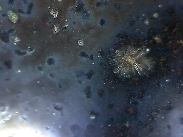 156、瓷器微观典型特征