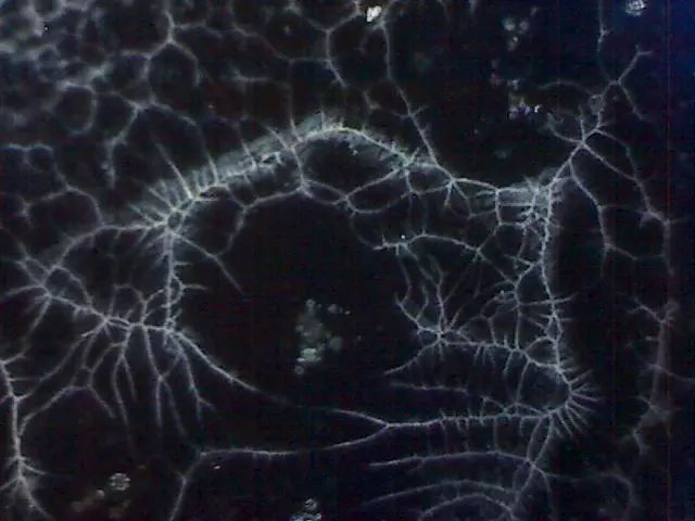 156、瓷器微观典型特征