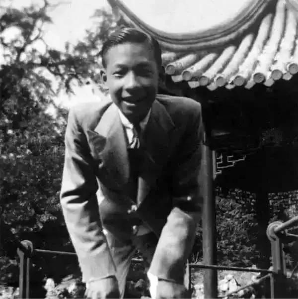 贝氏家族:良好家风的中国范式