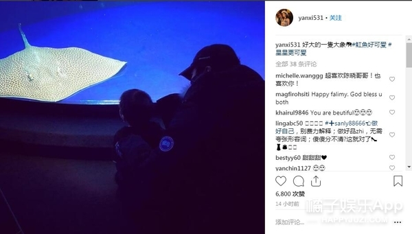 没离，都散了吧...
