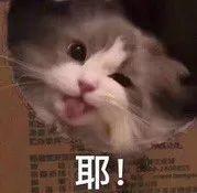 把今年大品牌年的“高光防晒”都拿来测评，有的连及格线都没过