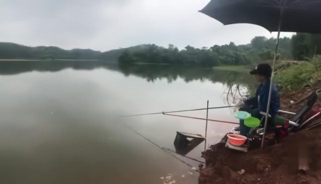 钓鱼:农村钓鱼媳妇水库野钓连杆上鱼,同时还传授起拌饵技巧来了